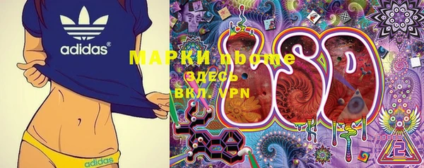 apvp Верея