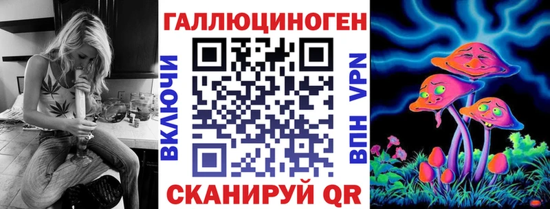 Купить  Галич  Галлюциногенные грибы Psilocybe 